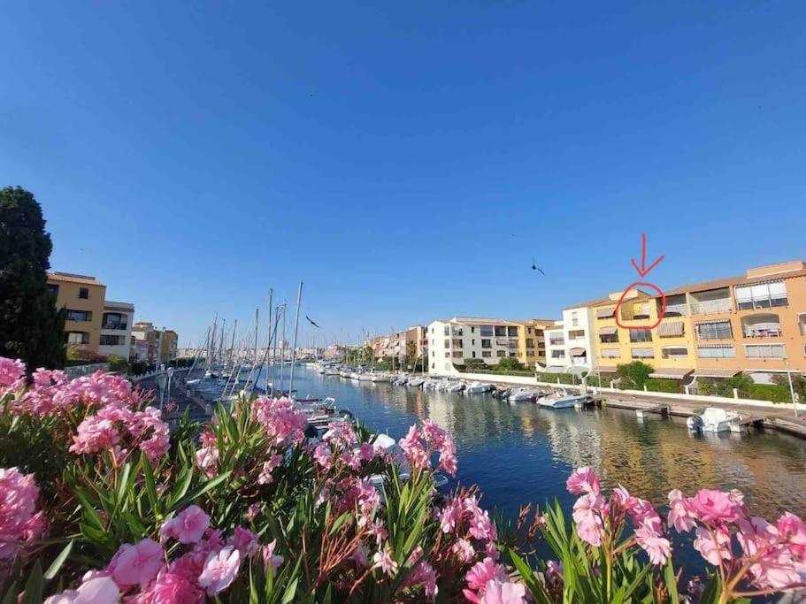 Cap'Nomad Studio Cote Port - Terrasse - Piscine - Parking 아그 외부 사진